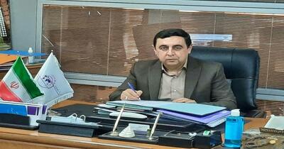 مشکل بازار برنج تامین است، دولت برای توزیع راهکار می‌دهد