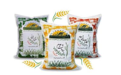 راهنمای خرید برنج ایرانی اصل: چطور بهترین برنج هاشمی، طارم و دم‌سیاه را بشناسیم؟