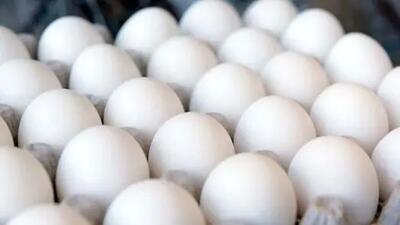 افزایش قیمت تخم‌مرغ در مرغداری‌ها/ کیلویی 77 هزار تومان!
