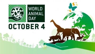  ۴ اکتبر روز جهانی حیوانات است