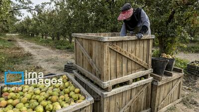 گزارش تصویری/ توانمندی اقتصادی در خدمت محرومیت زدایی