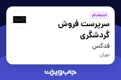  استخدام سرپرست فروش گردشگری در فدکس