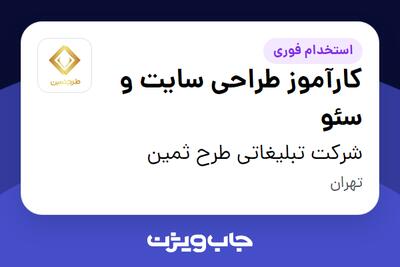 استخدام کارآموز طراحی سایت و سئو در شرکت تبلیغاتی طرح ثمین