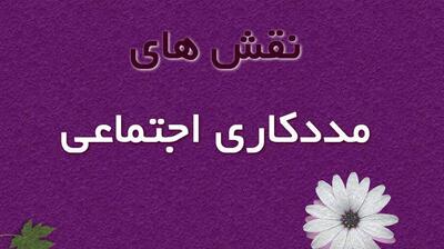 میگنا - نقش‌های اساسی مددکاران اجتماعی