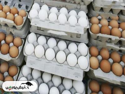 تخم مرغ گران نمیشود اگر...راه حل مسئولین چیست؟