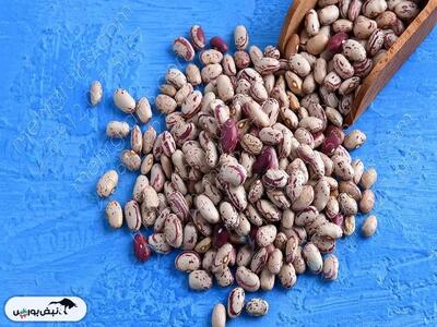 کاهش قیمت لوبیا چیتی