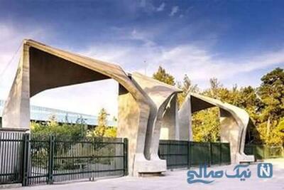 فاجعه در دانشکده مهندسی دانشگاه تهران / تصویر دانشجوی کارشناسی ارشد که قربانی انفجار آزمایشگاه شد