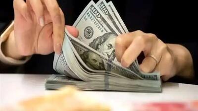 فرزین: نرخ ترس در بازار ارز را جدی نگیرید!