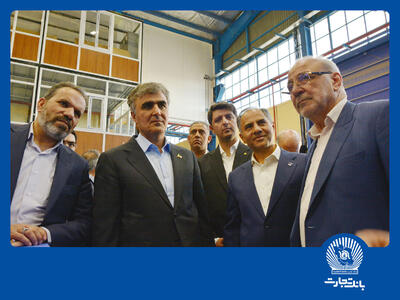 فرزین: انرژی خورشیدی از مهم‌ترین اولویت‌های رئیس‌جمهور است