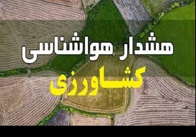 هشدار هواشناسی برای کشاورزان/مراقب سرمازدگی باشید - تسنیم