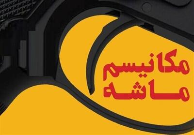 ابوترابی مطرح کرد: اقداماتی برای مدیریت شوک اسنپ بک - تسنیم