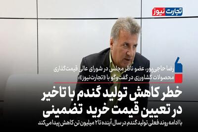 خطر کاهش تولید گندم با تأخیر در تعیین قیمت خرید تضمینی گندم