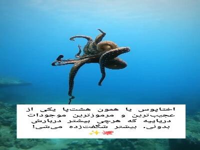 تنها موجود زمین که سه قلب دارد!