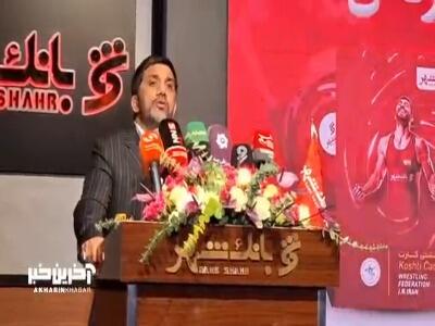  علیرضا دبیر: دپلت از بودجه هزار میلیاردی کشتی فقط ۳۰۰ میلیاردش را پرداخت می‌کند!