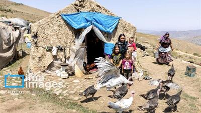 بهره‌مندی یک‌هزار و ۵۱۶ مادر روستایی دارای سه‌فرزند استان سمنان از بیمه اجتماعی رایگان