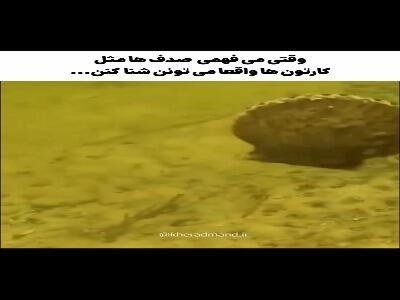 شنای بامزه صدف‌های دریایی کارتونی