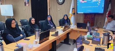 معاون منابع انسانی شرکت مدیریت تولید برق کرمان منصوب شد