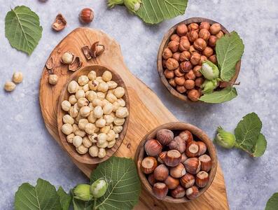 فندق ایرانی؛ مغز خوش طعم با خواص شگفت‌انگیز برای بدن