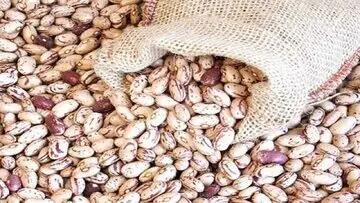 چراغ سبز به گرانی حبوبات / لوبیا چیتی هم قیمت گوشت شد/ افزایش ۶ برابری لوبیا چیتی