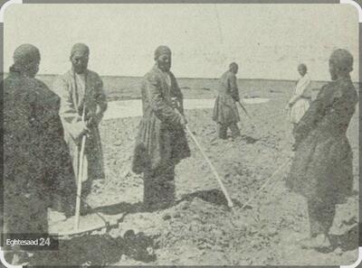 عکس/ ظاهر متفاوت کشاورزان در زمین زراعی ۱۳۵ سال پیش با پوشش سنتی | اقتصاد24