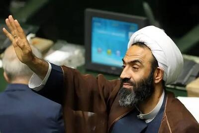 حمله نقدعلی، نماینده رادیکال به باهنر: از خون برادر شهیدت خجالت بکش!