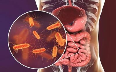 مدیتیشن و سلامت روده ؛ گفت‌وگوی شگفت‌انگیز ذهن و بدن