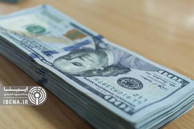 تنوع‌بخشی به رژیم ارزی، سپر مقاوم در برابر تحریم‌ها / مکانیسم ماشه تهدید اقتصادی نیست