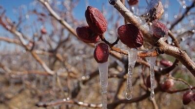 هشدار کاهش 10 درجه‌ای دمای هوا و سرمازدگی