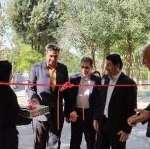 سلامت روان سالمندان از زندگی مهم‌تر است