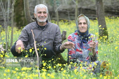 توجه به سالمندان، وظیفه انسانی و اجتماعی همه دستگاه‌ها است