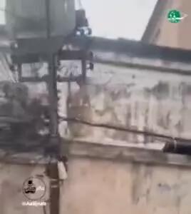 ترمز بریدن اتوبوس گردشگران در پورتو و شادی و سرخوشی دانشجوها!