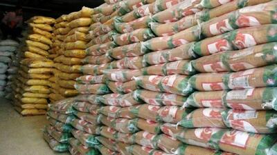 واردات برنج دپو شده؛ چرا بازار با کمبود و گرانی مواجه است؟