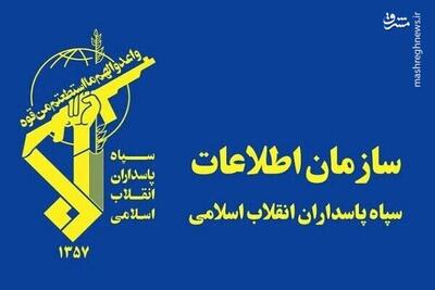 برخورد جالب سازمان اطلاعات سپاه با ۱۲۰ ایرانی اخراجی از آمریکا/ شکنجه شدید در فرودگاه الکساندریا و استقبال ویژه در تهران/ روایت یک ایرانی اخراجی از شکنجه‌های قرون وسطایی پلیس فدرال!