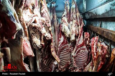 رئیس شورای تامین دام: مکانیسم ماشه تاثیری بر بازار گوشت نداشته است/ بازار در مسیر ثبات
