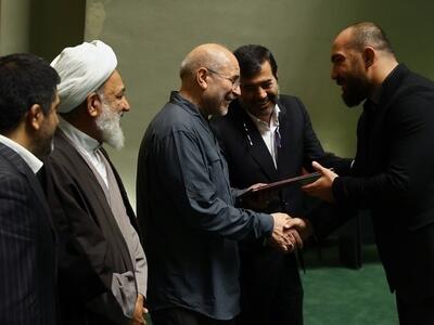 تجلیل نمایندگان مجلس از قهرمانان تیم ملی کشتی ایران