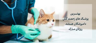 عکس نوشته روز دامپزشک برای استوری و وضعیت واتساپ