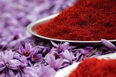 بررسی قیمت امروز گل تازه و نگین زعفران (۱۳ مهر ۱۴۰۴) | هر کیلو گل زعفران چند؟