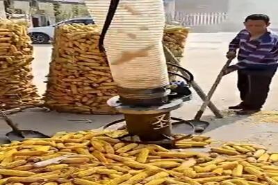 کشاورزی نوین؛ جاروبرقی هورت کش بلال ها رو میبلع و دون کرده و تر و تمیز تحویل میده