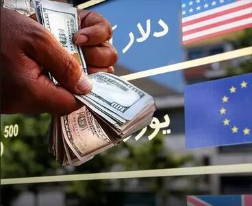 پیچیدگی‌های سامانه‌های ارزی در سایه بی‌اعتمادی اقتصادی