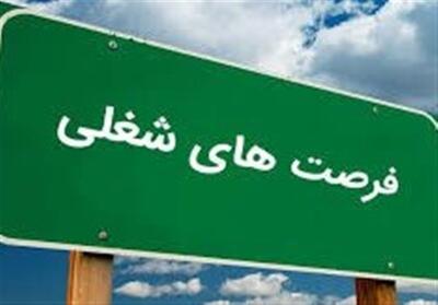 نسل Z و معمای ورود به بازار کار - تسنیم