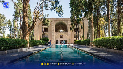 اصالت فین در خطر نابودی