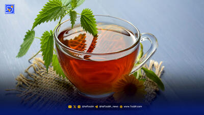 ۷ دمنوش برای رفع خستگی پاییزی و تقویت ایمنی