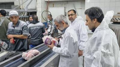 استاندار زنجان: دامپزشکان در خط مقدم صیانت از سلامت جامعه قرار دارند