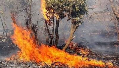 آتش‌سوزی منطقه حفاظت شده هفتنان سردشت