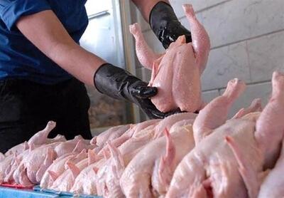 حباب قیمتی به مرغ هم رسید