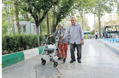 ضرورت مناسب سازی ادارات و فضا‌های عمومی برای حضور فعال سالمندان
