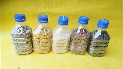 سازنده بطری پلاستیکی DIY: ایده های خلاقانه برای ظروف چندمنظوره
