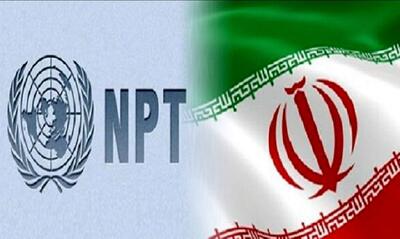 یک نماینده مجلس: معنای خروج از NPT ساختن بمب اتم است/ فکر نمی‌کنم ما از ان. پی. تی خارج شویم