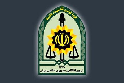 همه شهروندان این تسهیلات ویژه را می گیرند + جزییات
