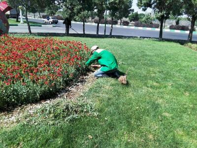 استخدام ۱۰ هزار کارگر ایرانی توسط شهرداری